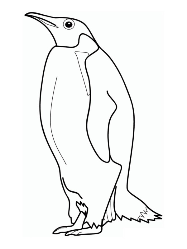 Pingwin kolorowanki